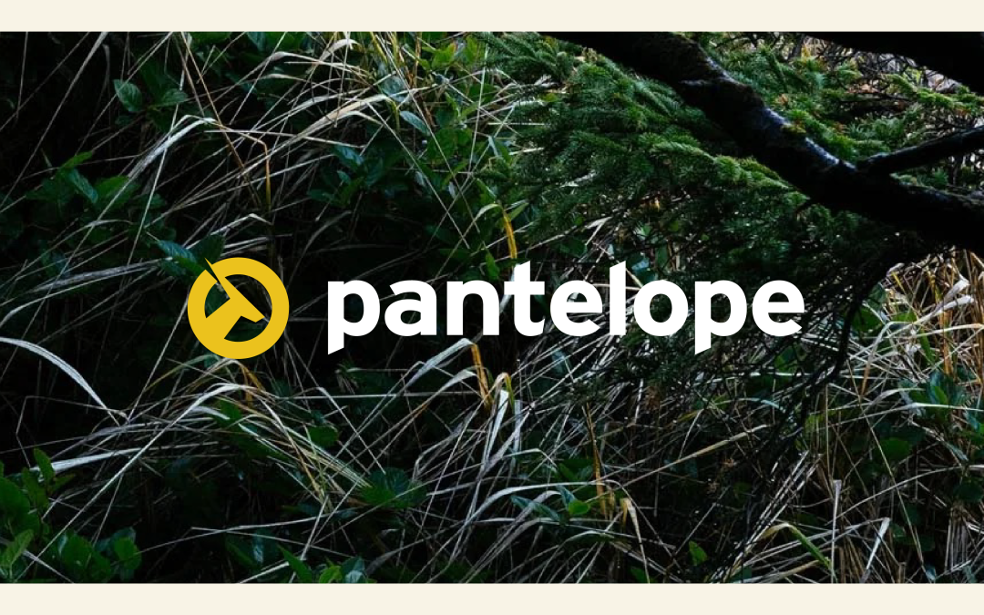 Ecommerce Marketing Case Study: How a Niche Brand Reclaimed Revenue After a Major Disruption