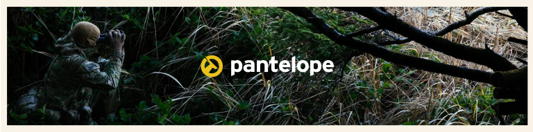 ecommerce marketing case study